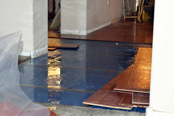 Professional Sewage Cleanup technician working in Plainville, MA